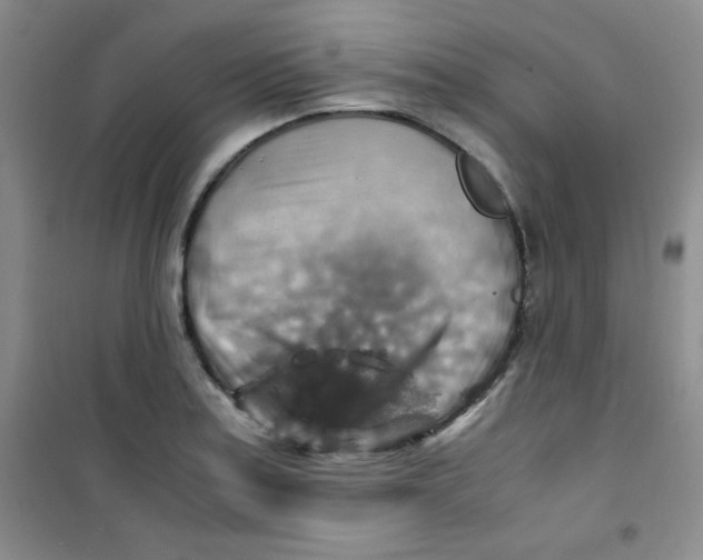 X0000100951179200807221114