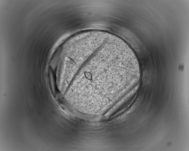 X0000100951180200807221114