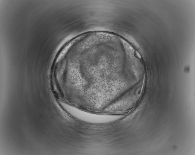 X0000100951181200807221114