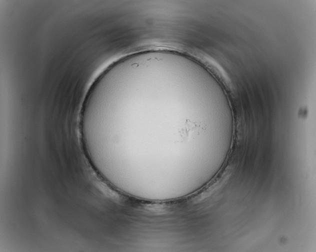 X0000100951182200807221114