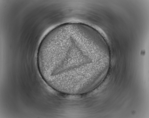 X0000100951183200807221114