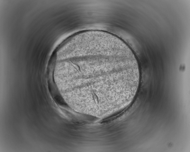 X0000100951184200807221114