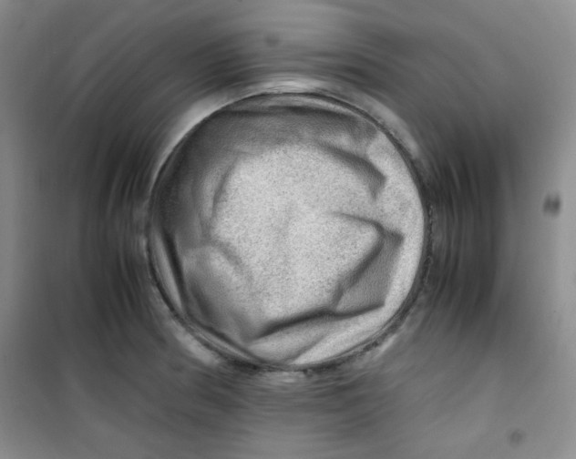 X0000100951186200807221114