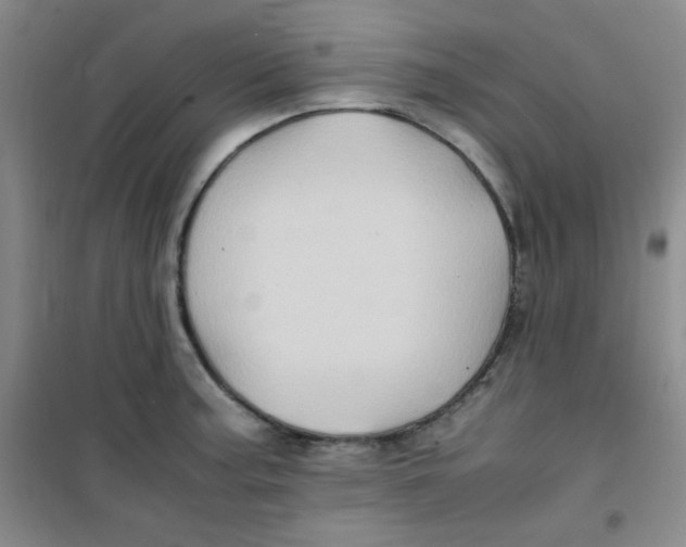 X0000100951187200807221114