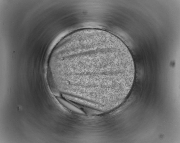 X0000100951188200807221114