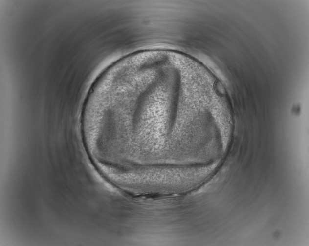 X0000100951189200807221114