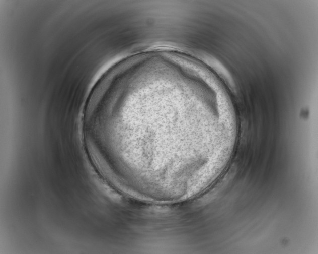 X0000100951190200807221114