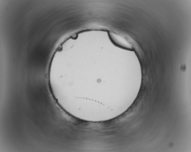 X0000100951191200807221114