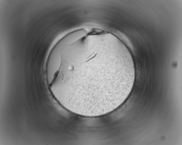 X0000100951192200807221114