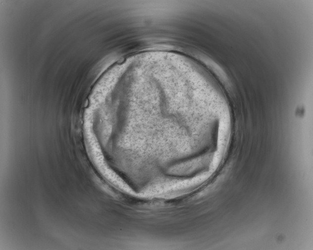 X0000100951193200807221114