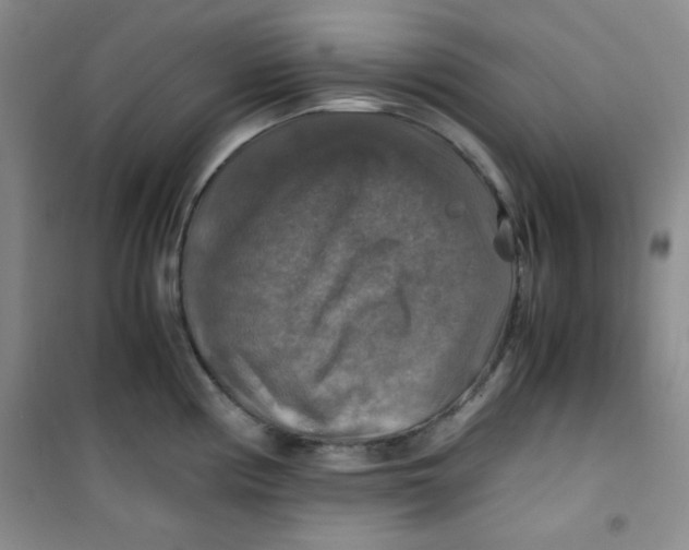 X0000100951194200807221114