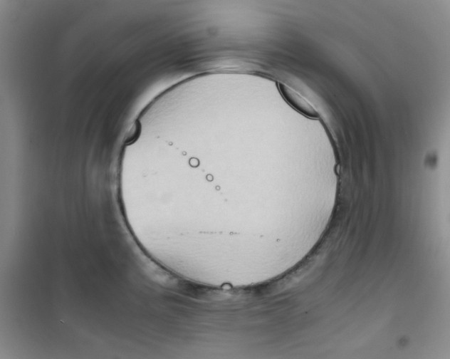 X0000100951195200807221114