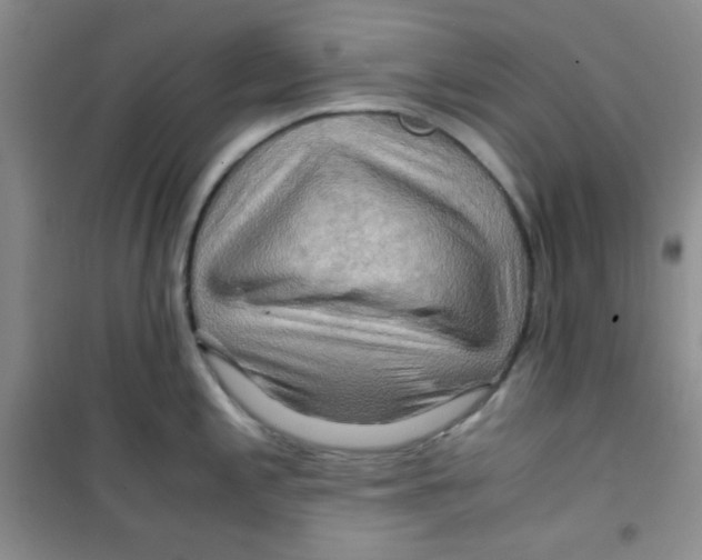 X0000100951197200807221114