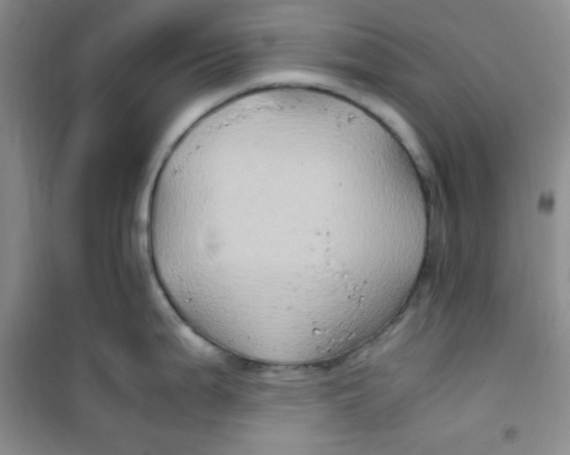 X0000100951199200807221114