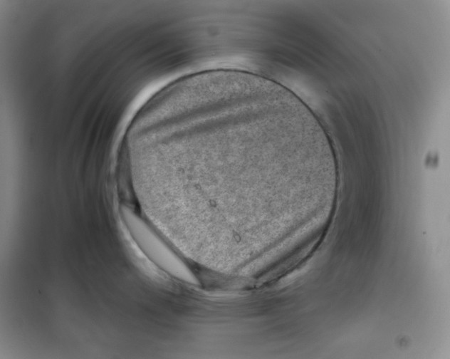 X0000100951200200807221114