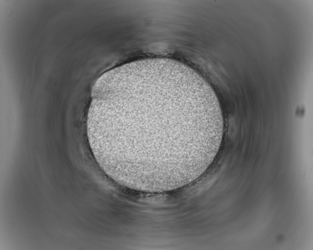 X0000100951201200807221113