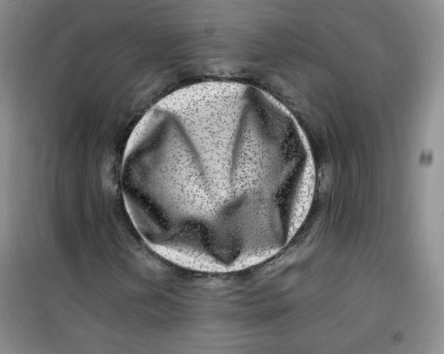 X0000100951202200807221113