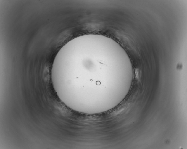 X0000100951203200807221113