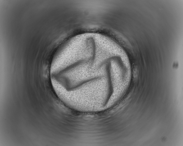 X0000100951204200807221113