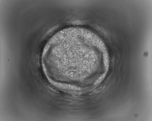 X0000100951205200807221113