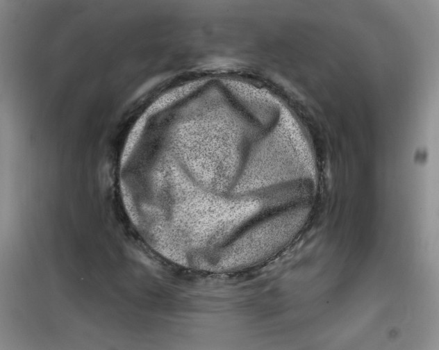 X0000100951206200807221113