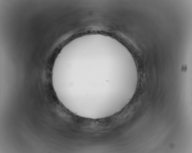 X0000100951207200807221113