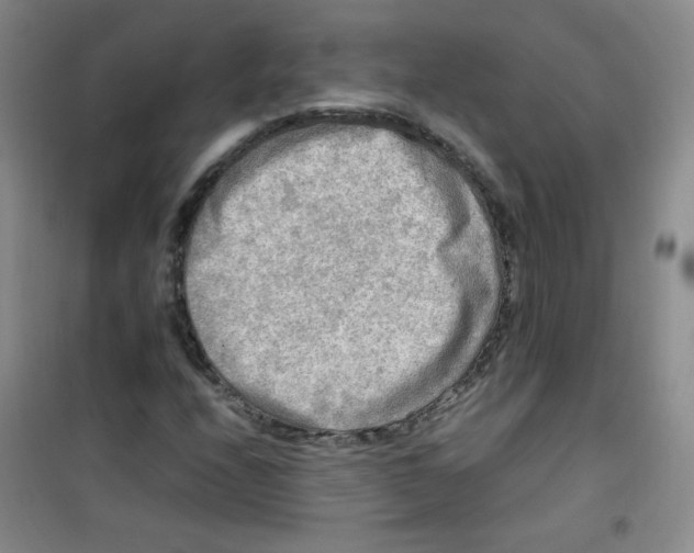 X0000100951208200807221113