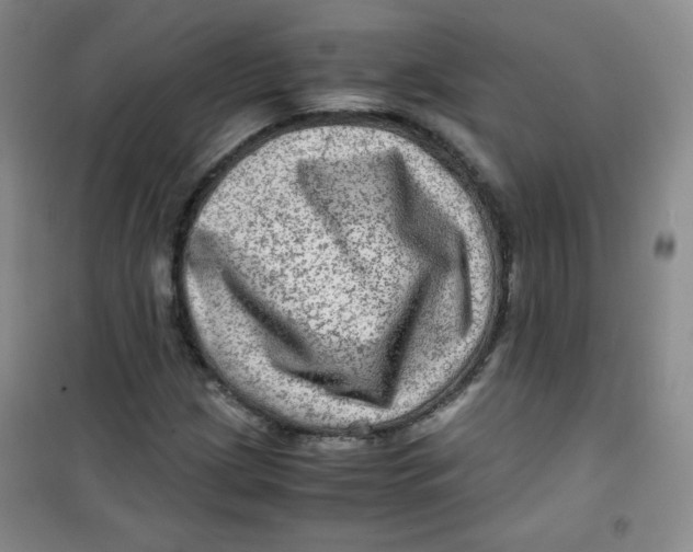 X0000100951209200807221113