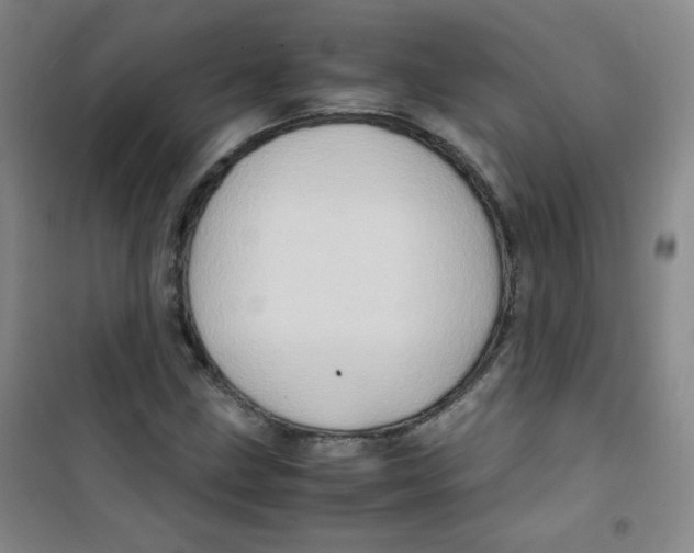 X0000100951211200807221113