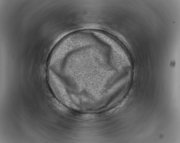 X0000100951212200807221113