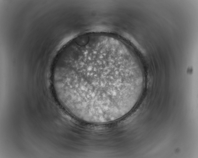 X0000100951213200807221113