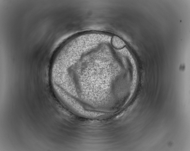 X0000100951214200807221113