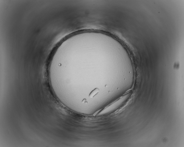 X0000100951215200807221113