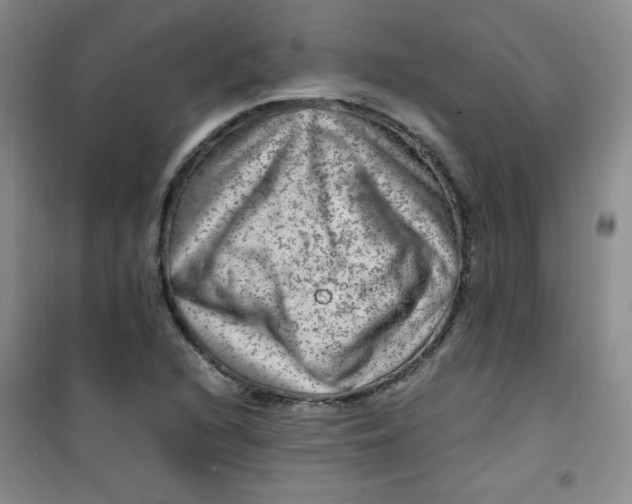 X0000100951216200807221113