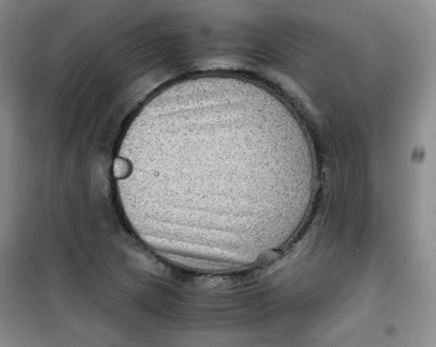 X0000100951217200807221113