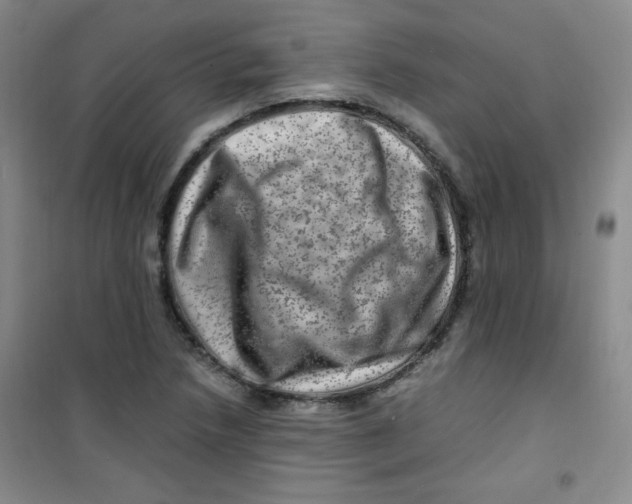 X0000100951218200807221113