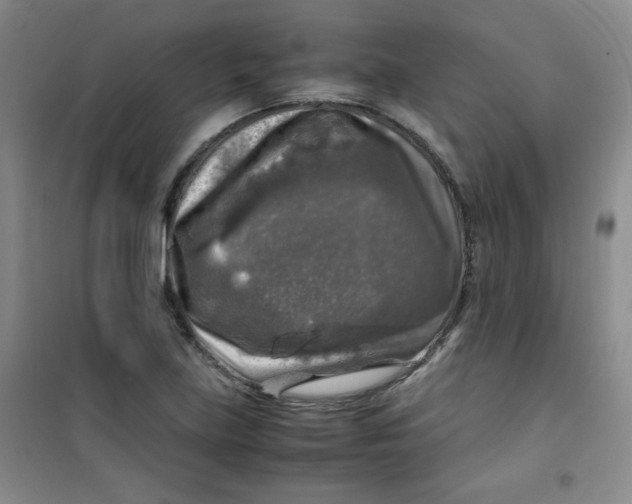 X0000100951219200807221113