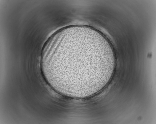 X0000100951220200807221113