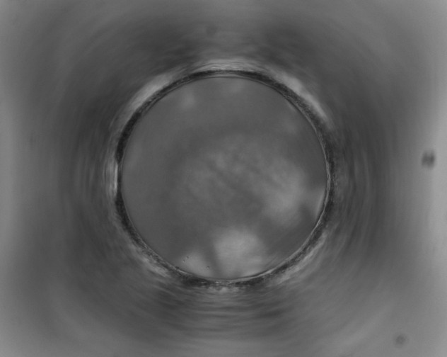 X0000100951221200807221113