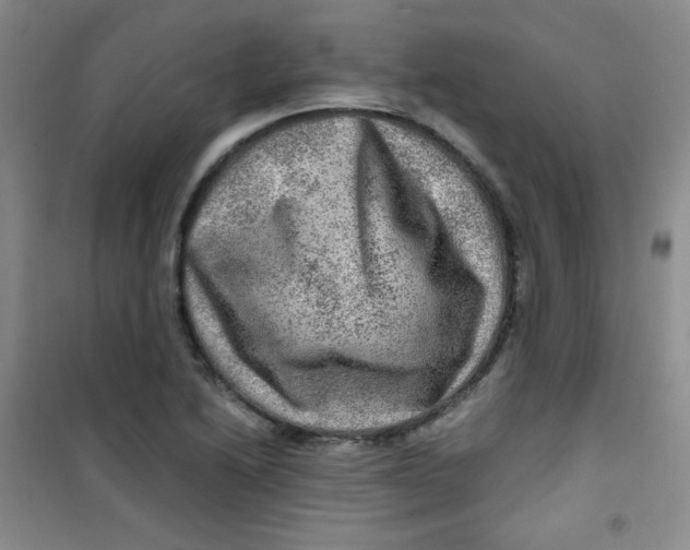 X0000100951222200807221113