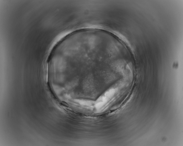 X0000100951223200807221113