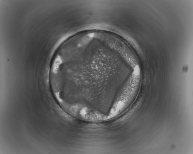 X0000100951224200807221113