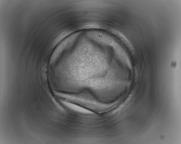 X0000100951225200807221113