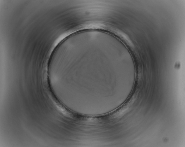 X0000100951226200807221113