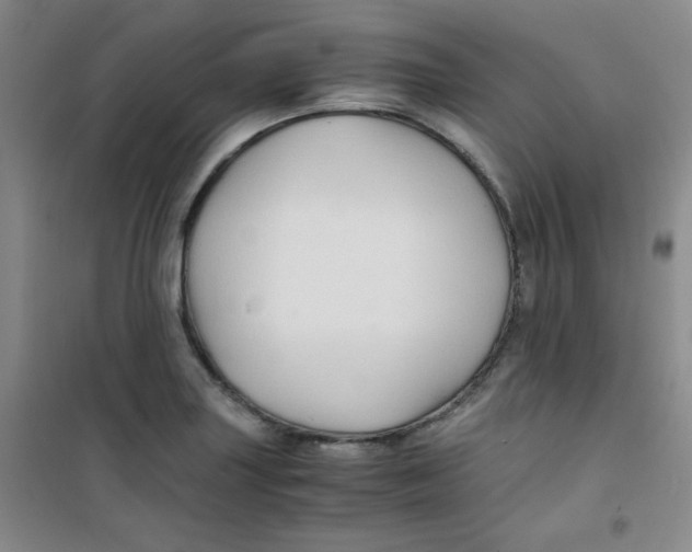 X0000100951227200807221113