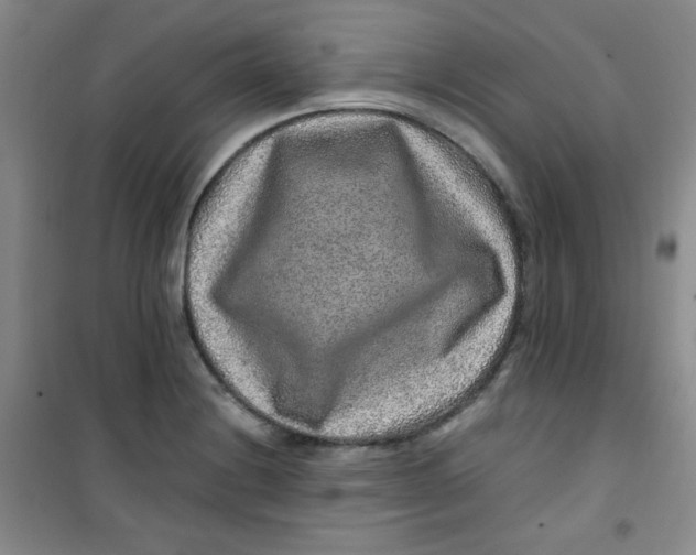 X0000100951228200807221113