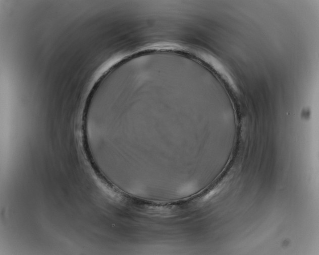 X0000100951229200807221113