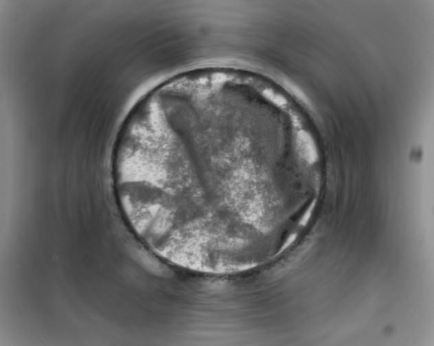 X0000100951230200807221113