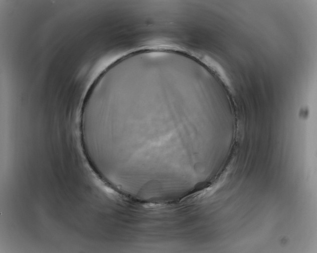 X0000100951231200807221113