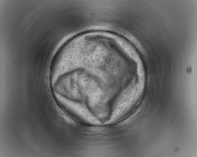 X0000100951232200807221113